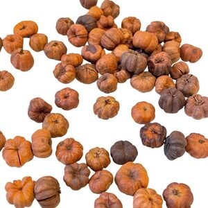 5 Dollhouse Miniature Halloween Fall Harvest Pumpkin Jack'o'lantern Thanksgiving